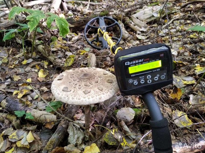 Металлоискатель Квазар ARM,С гарантией