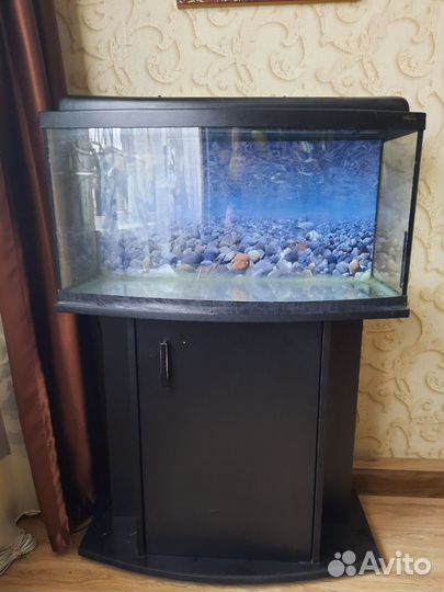Аквариум с тумбой wromak