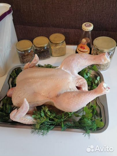 Продаем свежее мясо цыпленка бройлеров