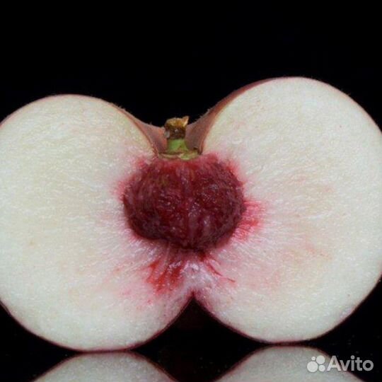 Саженцы Инжирного Персика Плейн Делишес