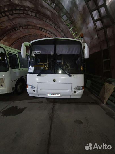 Междугородний / Пригородный автобус КАвЗ 4235, 2016