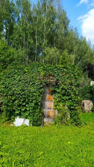 Участок 8 сот. (ИЖС)