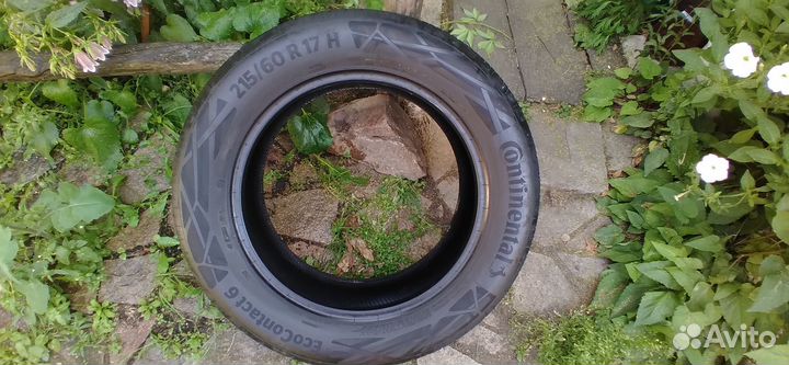 Continental EcoContact 6 215/60 R17 96H