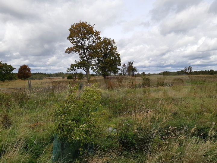 Участок 1,11 га (ИЖС)