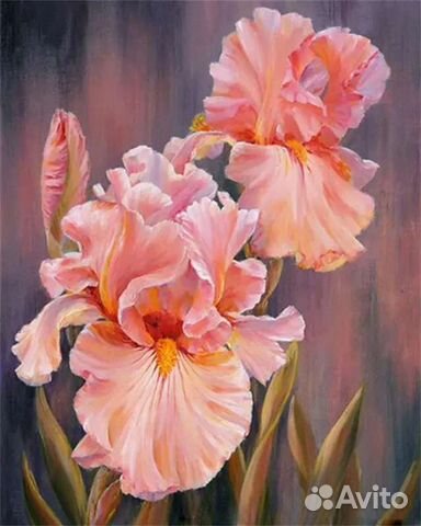 Картина по номерам, 40х50