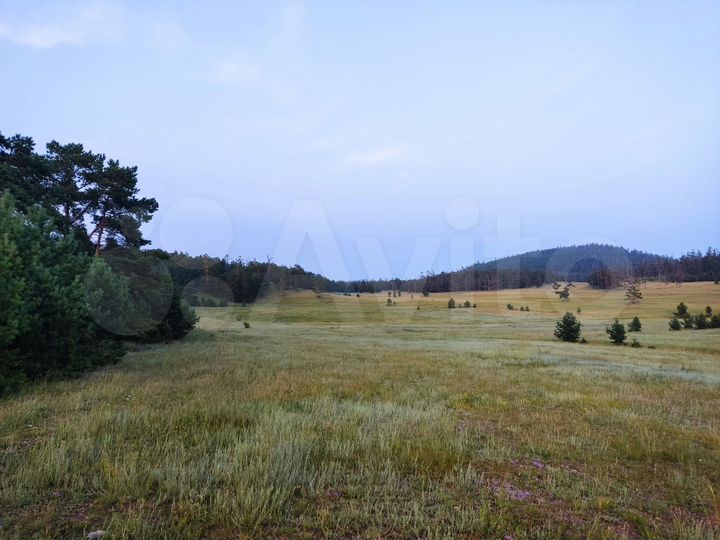 Участок 27,5 сот. (СНТ, ДНП)