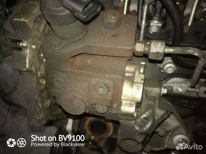 Тнвд 1.9 дизель Renault Scenic 2