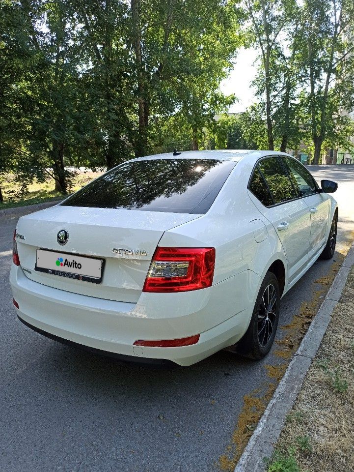 Skoda Octavia: фото владельца
