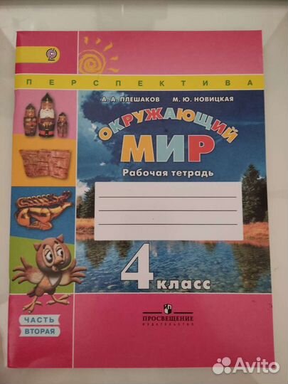 Рабочая тетрадь окружающий миру 4 класс