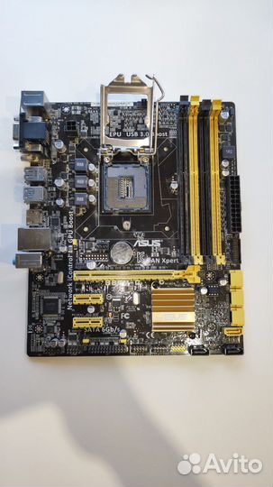 Asus B85M-G B85