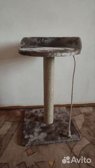 Когтеточка для кошки новая