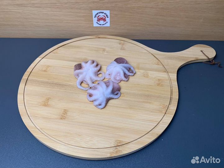 Осьминоги молодые