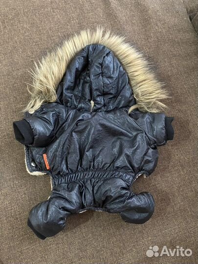 Зимний комбинезон для мелких собак