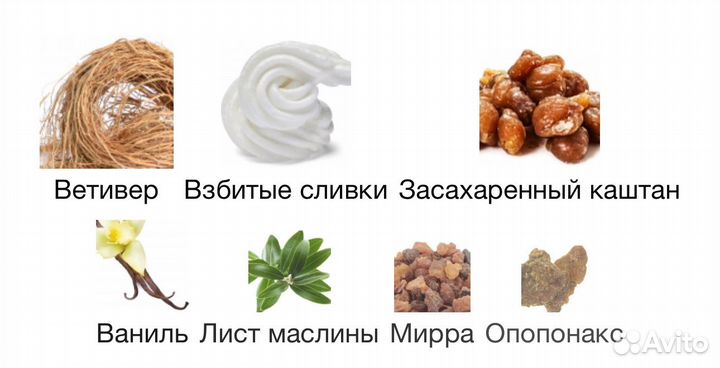 Fat Electrician Etat Libre d'Orange