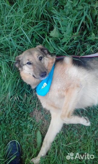 Дуся из Приюта ждёт свою семью