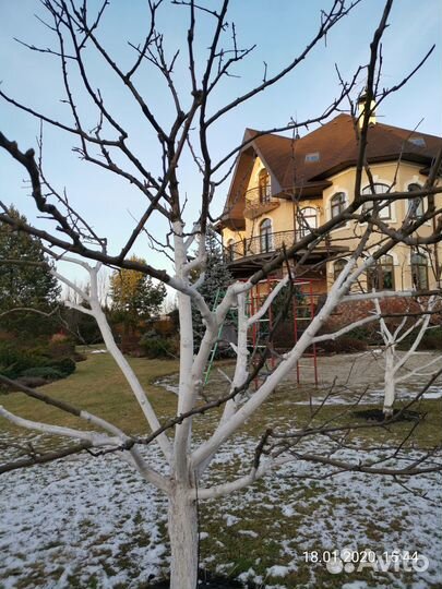 Помощник по хозяйству с проживанием