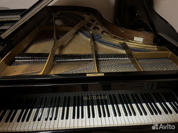 Рояль Bluthner