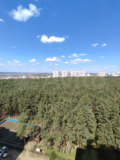3-к. квартира, 79,6 м², 15/17 эт.
