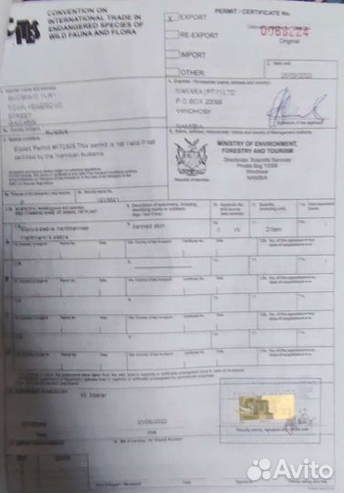 Натуральная шкура зебры