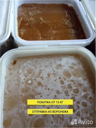 Мед оптом собираем сами