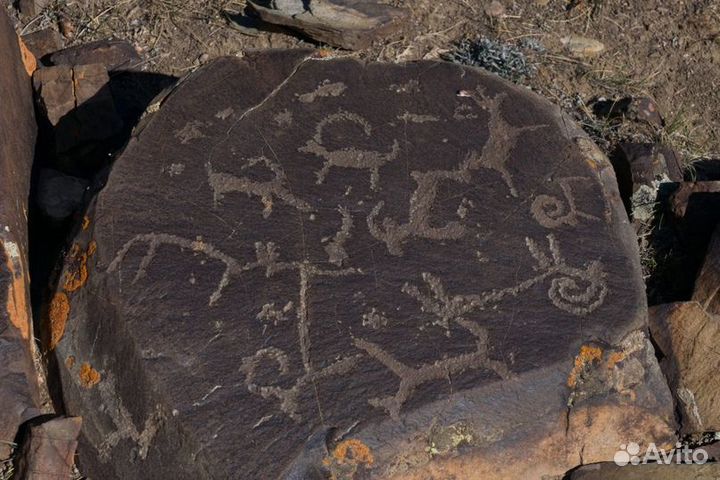 Путешествие на Алтае. 2 дня, 3 ночи