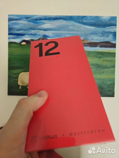 OnePlus 12, 12/256 ГБ