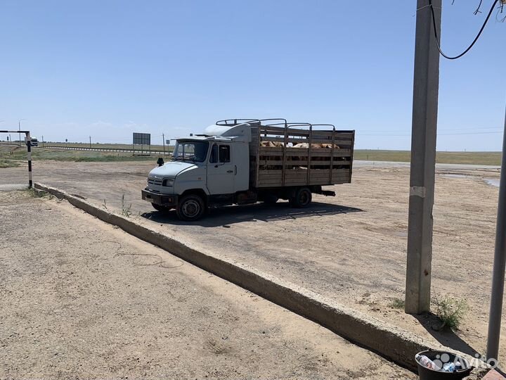 Перевозка сельхоз животных