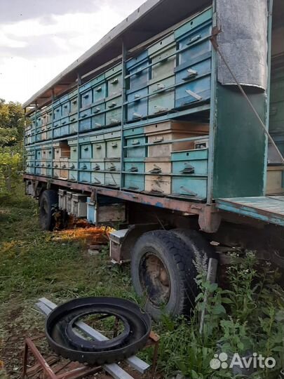 Прицеп пчеловоз, 2008