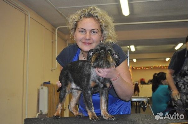 Курсы груминга Санкт Петербург