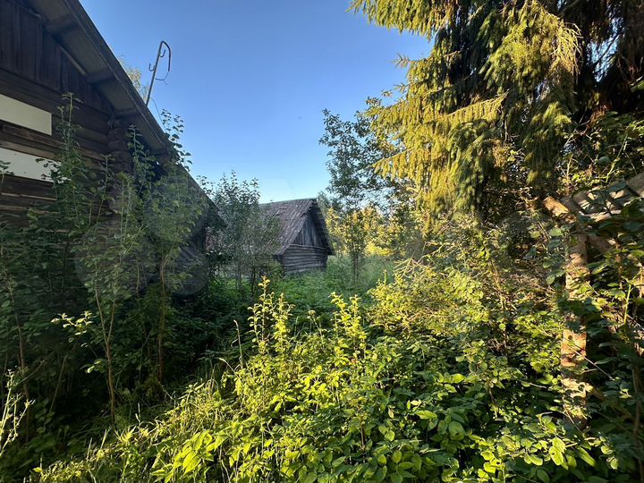 Дом 40 м² на участке 40 сот.