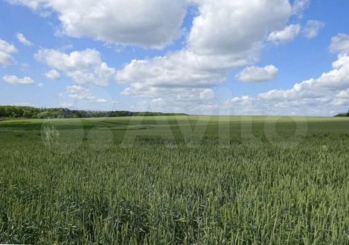 Участок 28 га (СНТ, ДНП)