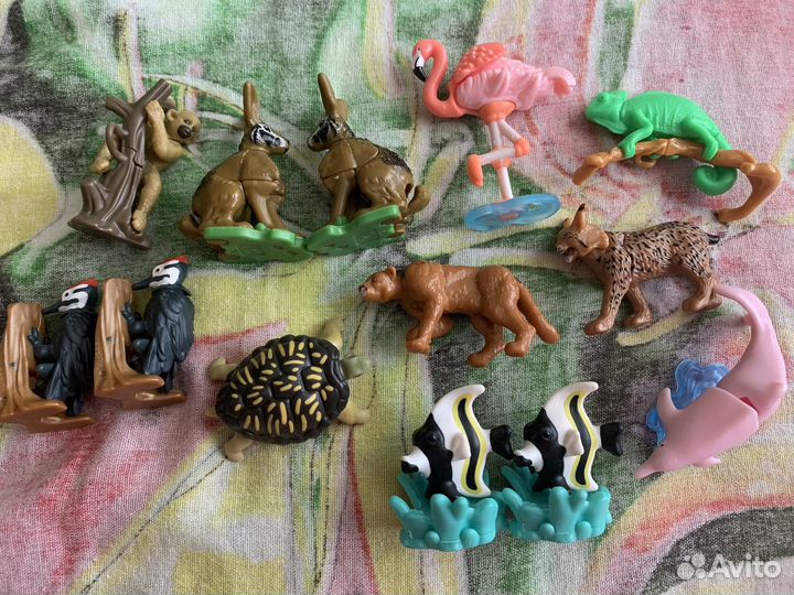 Киндер натунс/kinder natoons 2021/22