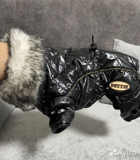 Одежда для собак