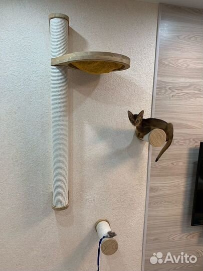 Комплекс для кошек Oak Cat Bobbin