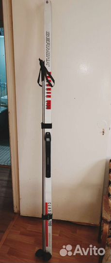 Беговые лыжи