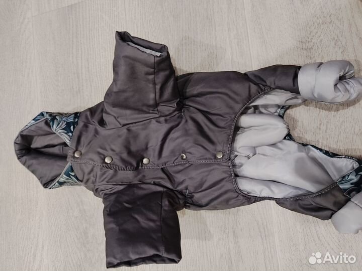 Костюмчик на собачку