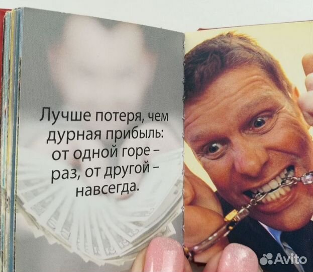 Магнит-книжка холодильник - прикольный.бухгалтеру