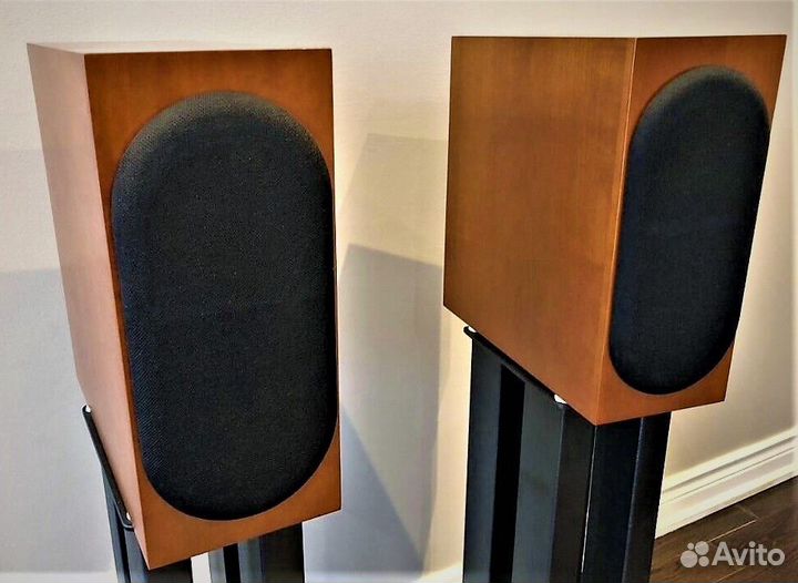 Hi-End ASW Genius-100 (Made in Germany)