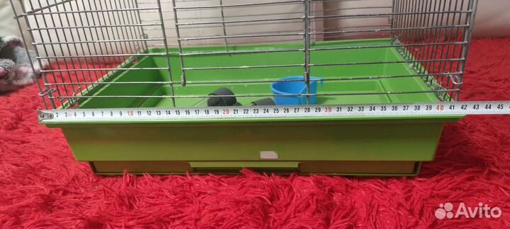 Клетка для попугая бу