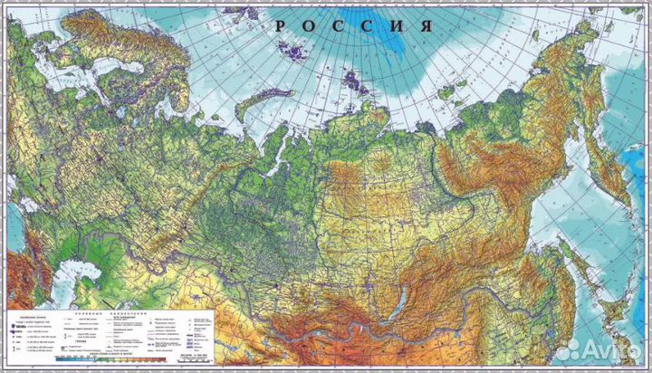 Настенная карта России (физическая)