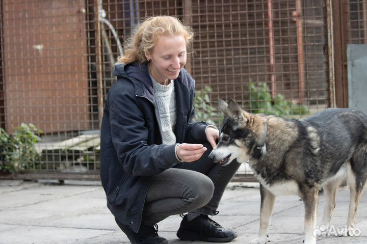 Зоопсихолог Кинолог Специалист по поведению