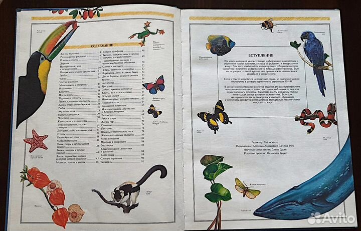 Мир живой природы