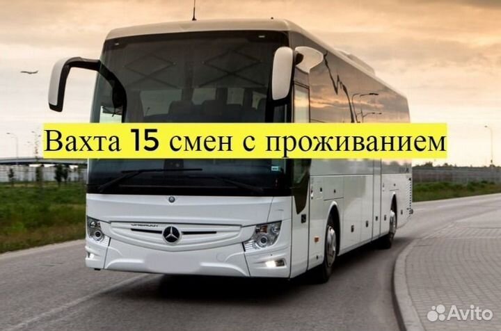 Сортировщик (ца) Принимаем пенсионеров Вахта 15/15