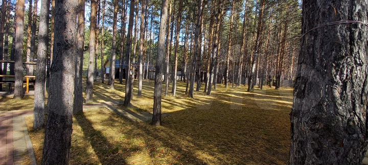 Дом 95,8 м² на участке 23,2 сот.