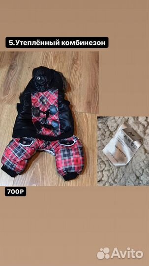 Костюмы для собак