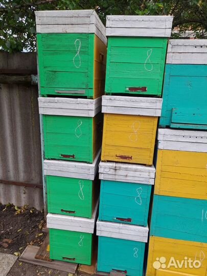 Продам ульи, нуклеусы