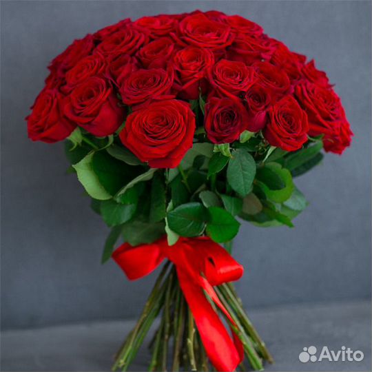 Цветы Рoзы красныe 43 шт Explorer Эквадор