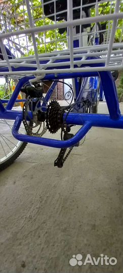 Электро рикша