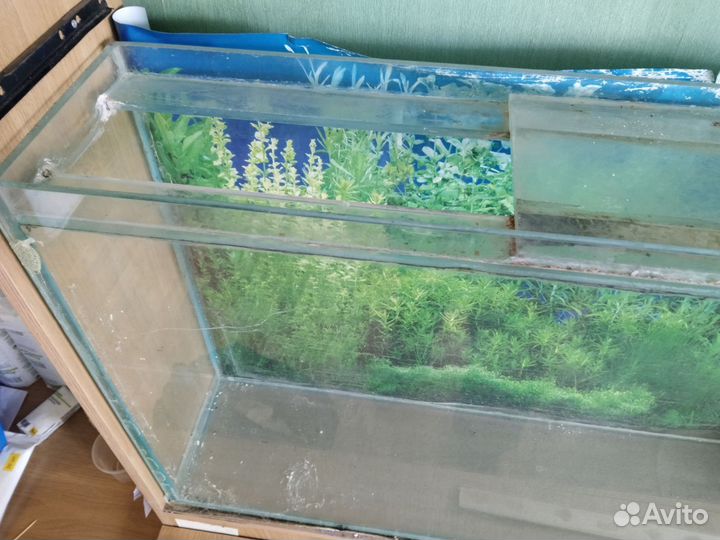 Аквариум