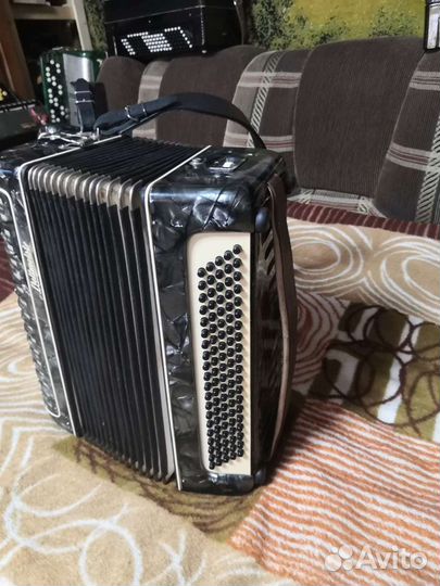 Баян weltmeister